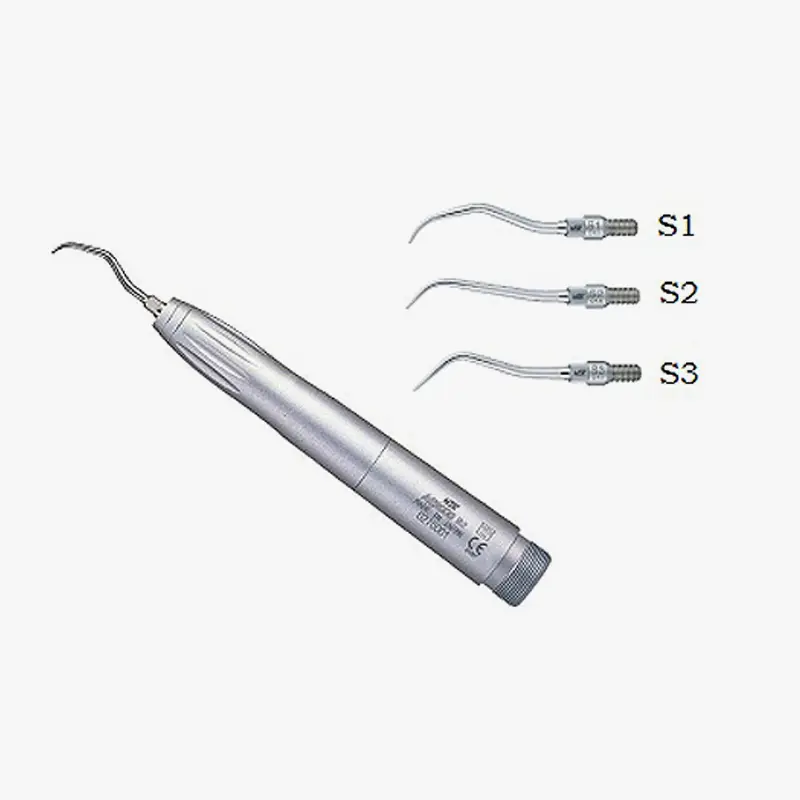 nsk 2000